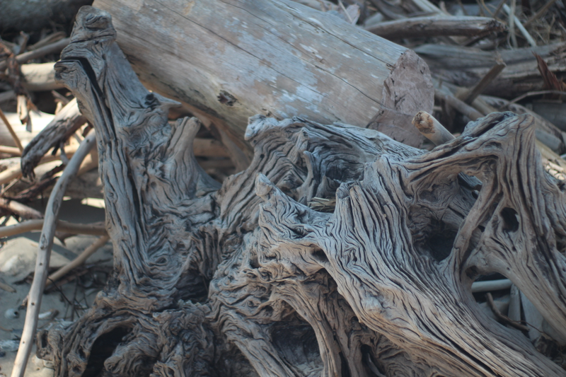 Illustration for article titled I Went to Botany Bay Plantation Yesterday